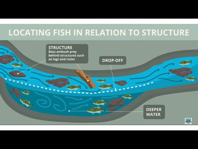 Watch HOW-TO: Reading a Stream on YouTube.