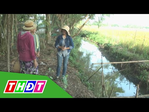 Các dạng tranh chấp đất đai nổi tiếng | Pháp luật và cuộc sống | THDT