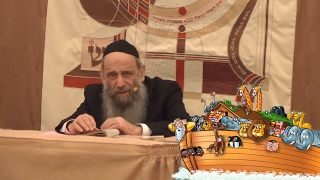 Video: Was Noah really 600-years old when he built the Ark? - Rabbi Mintz