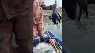Pankhuri Video