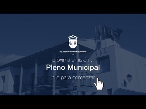 Pleno extraordinario. Ayuntamiento de Valdemoro. 12 de junio de 2019. 10.00 h.