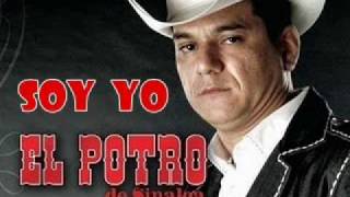 Watch El Potro De Sinaloa Vas A Aprender A Llorar video