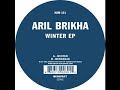 Aril Brikha - Winter