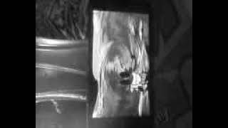 Mov0732A