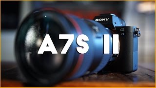 Sony A7S Ii & Hitting Things