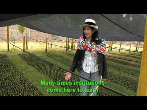 peru-strategies-for-adaptation-and-innovation-of-agriculture-against-climate-change.html