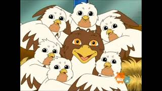 Jorge The Hawks Migrating Today