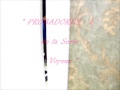 PROBADORES -1 (Serie "Voyeur") de Solito Producciones Spain.