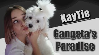 KayTie | Gangsta's Paradise
