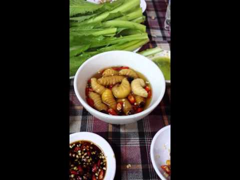Cali Wow an Duong Dua