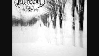 Watch Netherbird Shadows And Snow video