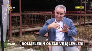 Et Koyunculuğunda Hassas Sürü Yönetimi - KUZU FABRİKASI / Çiftçi TV