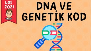 DNA ve Genetik Kod (8.sınıf) | LGS