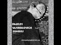 Paisley Yankolovich: The Vanity Song (Song)