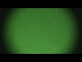 ufo/etv flares up in night vision 8/7/2009 9:23pm cdt
