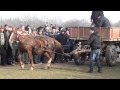 Garbovi concurs boboteaza 2014 partea 1