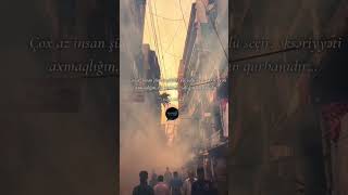 Çox Az Insan Şüurlu Şəkildə Pis Yolu Seçir, Əksəriyyəti Axmaqlığın,Bir Qismi Də Saflığın Qurbanıdır.
