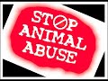 ROMA ZONA TIBURTINA MALTRATTAMENTO ANIMALI (Registrazione Audio)