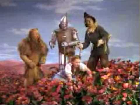 Poppies Video