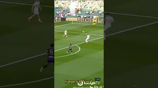 RG4u0eLlNa0 Video Image