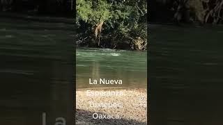 Tuxtepec Oaxaca México.