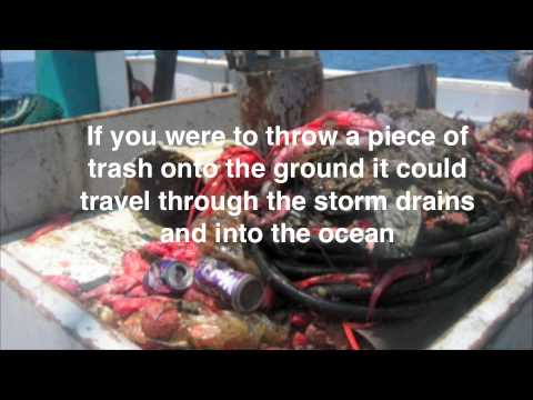 ocean pollution documentary