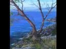 Passover An Amazing Adventure - Passover ecards - Events Greeting Cards Passover An Amazing Adventure - Passover ecards - Events Greeting Cards