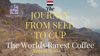 Yemen Coffee: The Journey From Seed To Cup