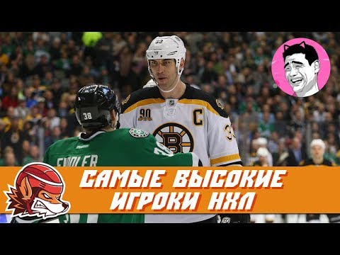 Топ-10 самых высоких игроков в истории НХЛ (feat MeowMing) Топ-10 самых высоких игроков в истории НХЛ (feat MeowMing)