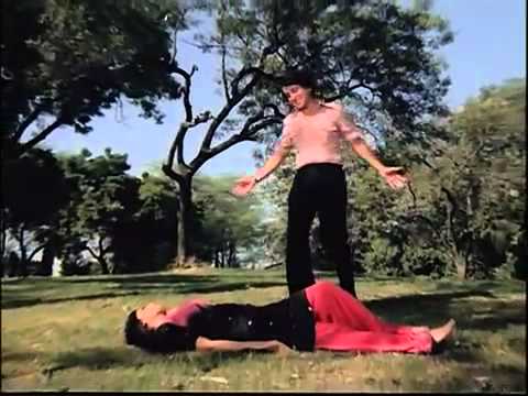 RAAJ VADGAMA -- (Bahon Mein Teri Masti Ke Ghere) HQ