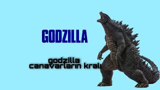 Godzilla Canavarlar Kralı