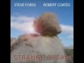 Steve Forss, Robert Coates "Stumbled" (original song)