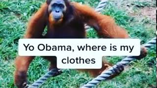 Yo Obama Where Is My Clothes - [Original]