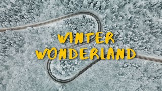 Winter Wonderland In Poland 4K - Dji Drone Footage