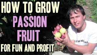 Watch Passion Fruit Passion video