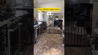 Great Dane Mom Vs Offspring
