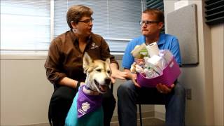 This Sweet Girl Could Be Your New Shadow -- Pet Project