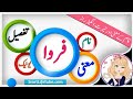Farwa Name Meaning In Urdu (Girl Name فروا)