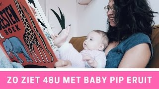 eerste hapjes baby schema