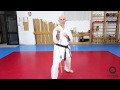 Renzoku Waza E Ippon Kumite Aprende Karate Hasta Cintur N images Renzoku Waza E Ippon Kumite Aprende Karate Hasta Cintur N