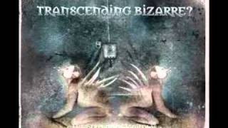 Watch Transcending Bizarre Infinite video