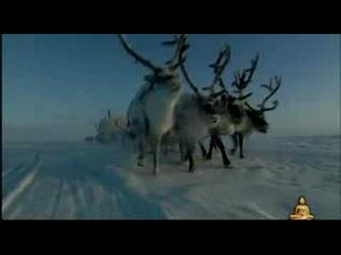 BUDDHA BAR NATURE TRAILER BY ARNO ELIAS