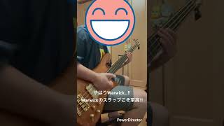 Warwickのスラップが好きすぎる