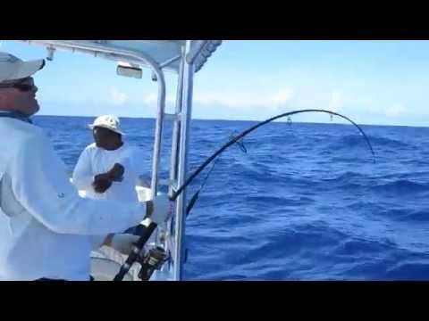 Deep  Fishing Tuna on Footage Of 100lb Yellowfin Tuna     Deep Sea Fishing In Antigua