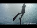 Freediving Clinic: Beginners (Pure Diver)