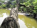 Rinnoji Temple Garden With Koto Music