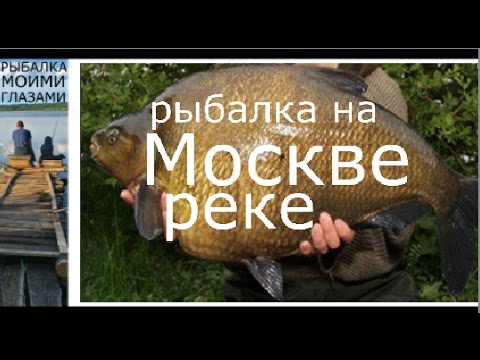 ловим леща в москве реке ловим леща в москве реке
