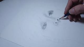 Karakalem Jimin Çizimi, Drawing Jimin Bts Part-1