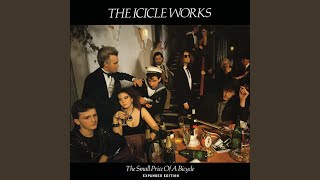 Watch Icicle Works lets Go Down To The River video