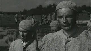 Болотные Солдаты 1938 (Лагерь На Болоте, Вальтер, Борьба Продолжается) Смотреть Онлайн